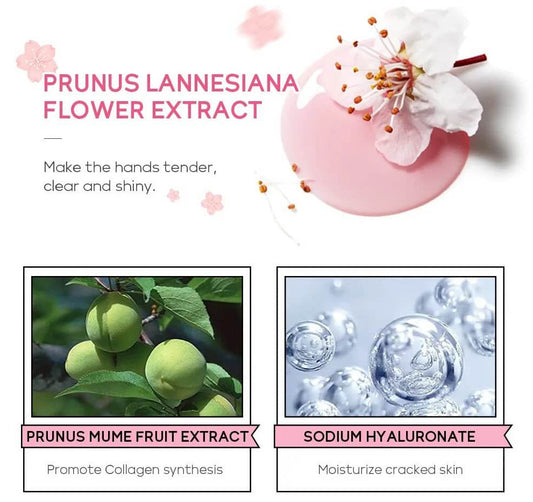 Product description card with Prunus Lannesiana flower extract, Prunus Mume fruit extract, and Sodium Hyaluronate on a white background.